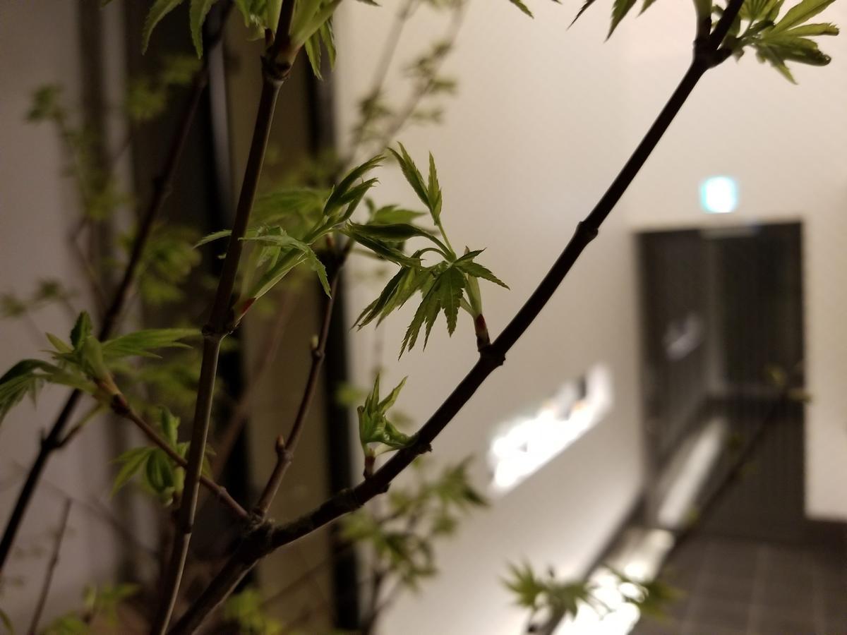 Kyo No Yado Botan Villa Kyoto Buitenkant foto